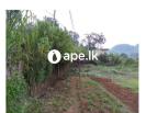 Land For Sale In DIYATALAWA